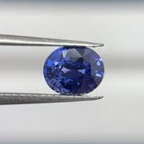 1.5ct Blue Sapphire Sri Lanka Unheated