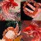 Lucky Red Koi Hematoid Quartz Bracelet – Size 15 Abundance & Wishes Crystal