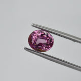 2.92ct Natural Pink Spinel – Untreated Oval Cut Tanzanian Gemstone  COBS19