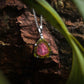 Starborn Watermelon Tourmaline Crystal Slice Pendant — Sterling Silver