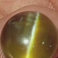 10.53ct Sri Lankan Chrysoberyl Cat's Eye | Rare Ceylon Honey Gem | CRS 01